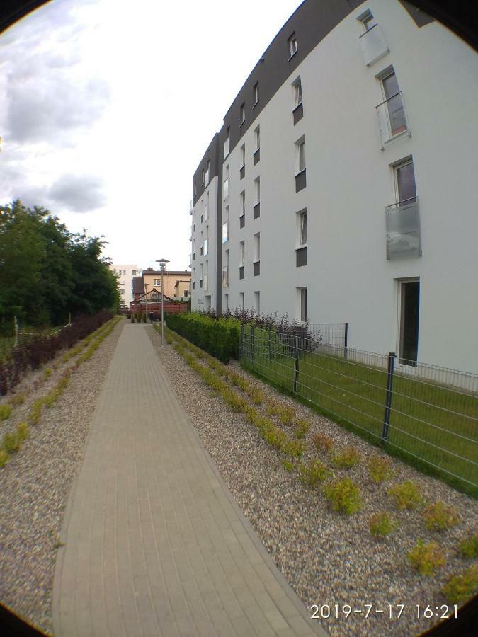 1120 Smialego 41 - Tanie Pokoje W Apartamencie - Samodzielne Zameldowanie - Self Check In Poznan Ngoại thất bức ảnh